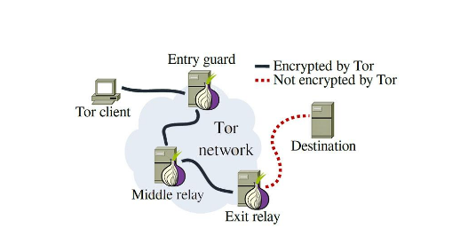 what is tor network multi node