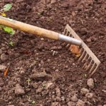 5 Main Tools for Your Garden Maintenance