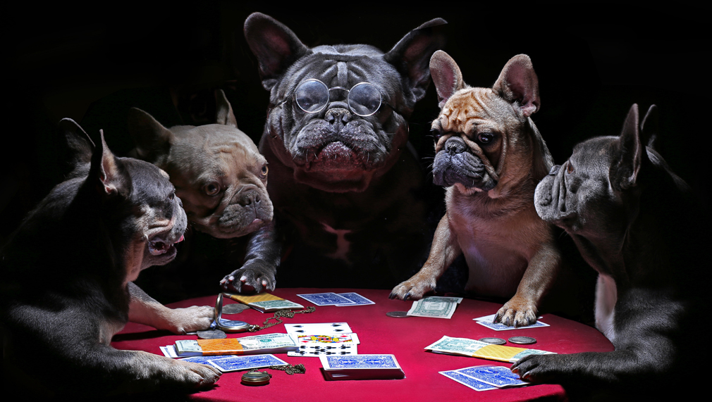 puppy poker