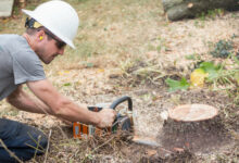 Benefits of Hiring a Professional Tree Removal Service Removing trees can be a potentially hazardous task. If you lack experience or proper equipment there's a risk of causing harm to your property. However, relying on the expertise of a tree removal service ensures that the task is carried out safely and efficiently. They can provide guidance on post-removal tree care strategies. Time and Cost Efficiency Time is valuable. Wasting it is not an option. Hiring a tree removal service will save you time and effort as they can efficiently complete the job without dragging it out for weeks. Their expertise, equipment and know-how enable them to accomplish the task. Removing the trees promptly is crucial to prevent any damage or unsightly appearance in your yard. By engaging a tree removal company you can ensure that this objective is met effectively. Safety First: Expertise Matters Safety should always be a priority. Removing trees can be perilous. If not approached with caution it can result in harm or even fatalities. Hiring a tree removal service is crucial as they possess the expertise and equipment to ensure safety throughout the process. Reputable companies offering tree removal services, like Leaf It To Us in Byron Bay, have experience dealing with types of trees ranging from majestic oaks to smaller shrubs. They will accurately identify the species of your tree & provide advice on how to properly maintain it in the long run. Additionally, they can offer guidance on the frequency of maintenance required each year. Remember, entrusting your tree care to professionals guarantees both safety and optimal well-being for your greenery. Specialised Equipment and Techniques Tree removal equipment: The tree removal service providers are equipped with all the tools to safely and efficiently handle trees of any size irrespective of the terrain they're on. In fact, they usually carry a variety of chippers and chainsaws to cater to situations ensuring that work continues smoothly even if one tool encounters an issue. Tree removal techniques: These skilled professionals possess the expertise to cut down any tree without causing harm to structures or anything else in the surroundings. They understand the time required for each operation whether it involves removing branches or dealing with trunks. Moreover, they know how much effort is necessary to unload parts from their truck at their destination thereby minimising the risk of accidental injury for anyone passing by during transportation. Emergency Services When you hire a tree removal service you can rely on them to respond promptly. Most companies offer emergency tree removal and loppingservices like The Tree Expert in Mackay region. They will send a team to your location within an hour of your call. This is particularly crucial if the tree poses a risk to people or property. Waiting for assistance, for days is not ideal. Furthermore, the experts will bring their equipment instead of asking to borrow yours (which could potentially cause damage). They also have access to tools that are not readily available on the market such as chainsaws specifically designed for cutting large trees as well as bucket trucks and cranes used for safely transporting them. Lastly, being professionals they know how to clean up after removing those branches from your roof. Expert Tree Assessment Assessing a tree is the first step when it comes to removing it. It holds significant importance for safety the and health of the tree and its value. Prior to commencing work on your trees, a professional tree removal service will conduct an assessment. When you engage their services for tree removal they will provide you with an estimate based on the extent of work required. It's worth noting that if any changes occur during the process (such as issues with your trees or property) it could impact their price quote well. If you have any concerns about whether hiring professionals suitable for your situation you can discuss with them their experience in removing types of trees from residential properties similar to yours. Thorough Clean-Up When you enlist the expertise of a tree removal service they will make sure to dispose of all the debris from your trees. This includes branches, twigs and any other items that were cleared from your property during the process. The last thing anyone would want is for someone to stumble upon leftover tree stumps or other remnants when taking a stroll in their backyard. Minimised Environmental Impact One of the advantages of hiring a tree removal service is their ability to minimise damage to the surrounding environment when removing a tree. Many people mistakenly believe that cutting down a tree means it will automatically fall and die on its own. However, this is not always the case. Some trees can take months or even years to perish due to their root system, which allows them to thrive both above and below ground. When you attempt to cut down your trees especially if they'relarge there is always a risk of breaking off some roots during the removal process. This could potentially cause issues in neighbouring properties and create problems in the future. With tree removal services, they possess knowledge about each root's location enabling them to avoid any unnecessary harm during excavation.