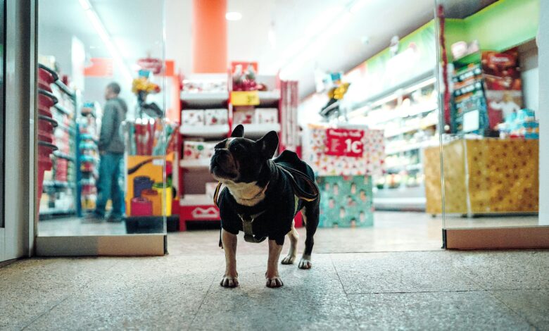 500+ Best, Cool, Catchy Pet Store Name Ideas